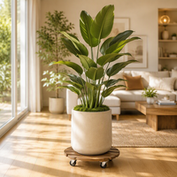 Support à roulettes en bois pour plantes, avec roulettes verrouillables, robuste, multi-usages, pour pots de fleurs, conteneurs de rangement, style européen