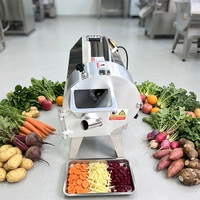 Automatische commerciële multifunctionele gemotoriseerde groente- en fruitsnijder/hakselaar met 304 roestvrijstalen messen, julienne-functie