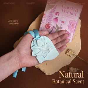 Tablettes parfumées d'aromathérapie en plâtre pour la maison, la voiture, élimination des odeurs, pièces d'encens en gypse, pendentif solide - Product Image 2