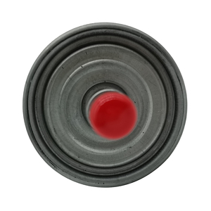 Filtre à carburant de haute qualité pour <span class=keywords><strong>FORD</strong></span> <span class=keywords><strong>Focus</strong></span> <span class=keywords><strong>1</strong></span> FG-1114 2M5Z-9155-CA FG986B F89Z-9155-A, performance automobile durable, remplacement - Product Image 4