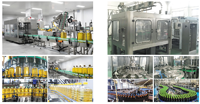 Chaîne de production d'eau avec machine de remplissage et de bouchage de bouteilles PET, capacité de 6000 à 12000 BPH, pour l'embouteillage d'eau potable pure et minérale en usine