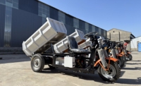Ermäßigte Förderung! Minidumper Mineros Narrow est 1 Tonne Mining Dump Truck 800mm 2 Tonnen Minidumper
