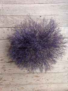 Nouveauté 2026 : Fleurs de Gypsophile stabilisées (20-30 cm) – Décoration de table basse écologique, longue durée, aspect naturel et moelleux - Product Image 3