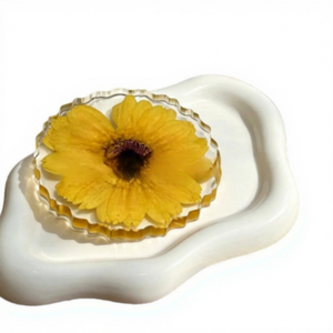Real Gerbera Daisy <strong>Plastic</strong> Coasters Handmade Dried Flowers Heat Resistant Insulated <strong>Pot</strong> Holder Dining Mat Pastoral <strong>Table</strong> - Product Image 5