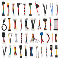 Harnais de câblage électrique sur mesure OEM ODM, assemblage de câbles, faisceau de câbles, câbles d'instrumentation