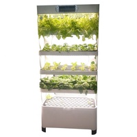 Petit jardin hydroponique LED pour la culture de légumes à domicile avec solution nutritive