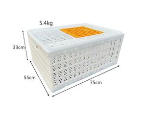 Caixa de Transporte para Aves em Material PP Novo, Atacado de Fábrica, Gaiola para Frango e Pato, Transporte Agrícola com Longa Vida Útil - Product Image 3