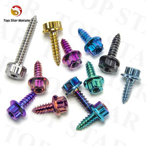 TITST Gr5 vis en titane tête <span class=keywords><strong>de</strong></span> bride autotaraudeuse alliage titane boulon moto <span class=keywords><strong>coque</strong></span> vis décoratives - Product Image 2