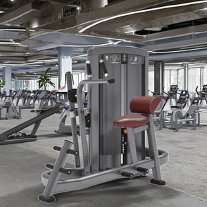 Máquinas de Gimnasio, Equipo de Fitness Comercial, Entrenamiento de Fuerza, Ejercicios para Espalda y Abdomen, LK-022, Gimnasio Comercial - Product Image 4
