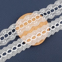 Vente en gros usine : Tissu de dentelle suisse ajouré bilatéral, dentelle de tulle brodée perforée et élastique, accessoires de garniture en dentelle
