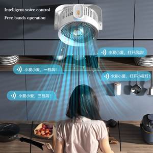 2025 Table Fan With Ambient Night <b>Light</b> Desk Fan USB Transparent Body Desktop Fan <b>Wall</b>-mounted - Product Image 6