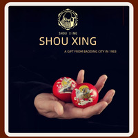 Boules de Baoding chinoises traditionnelles, à rotation manuelle, cadeaux et souvenirs culturels uniques avec boîte cadeau elliptique