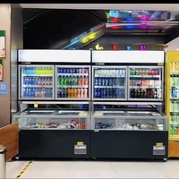 Congélateur combiné aérien d'île de supermarché enfichable congélateur d'affichage d'aliments surgelés de viande de crème glacée de porte en verre droite