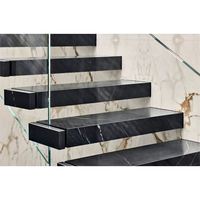 Escaliers en marbre poli de nouvelle conception, marches en marbre noir à texture dure