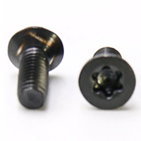 Vis à tête plate Torx en acier inoxydable noir oxydé de haute qualité, motif CD