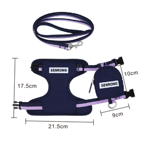 Accesorios Multifuncionales y Cómodos para Mascotas de Vietnam, Transportines de Nailon con Botones a Presión y Estampados Personalizados - Product Image 3