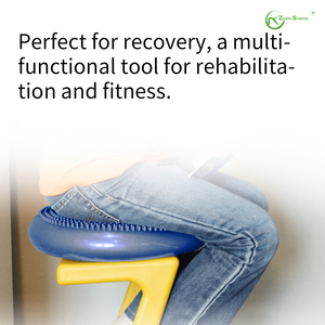 Disco Inflável de Equilíbrio Multifuncional OEM da Fábrica Zhensheng para Yoga, Exercícios, Massagem, Treino de Core e Terapia - Promoção - Product Image 6
