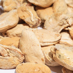 Bâtonnets dentaires naturels à mâcher avec extrait de moule pour le contrôle du tartre Chiens Viande de moule Aliments lyophilisés pour animaux de compagnie - Product Image 4