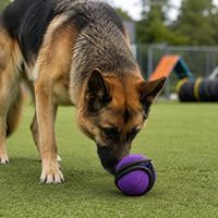 Balle de reniflement pour chien, jouet distributeur de friandises, puzzle à 3 pétales en forme de lotus, pour l'entraînement K9 et la distribution lente de nourriture, balle de récompense