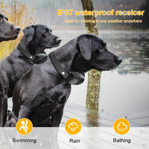 IPetDog Pets Control Schock halsband für Hunde Gehorsam Selbstverteidigung e Halsband elektronisches Hunde trainings halsband - Product Image 3