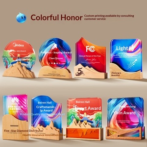 Premios de Vidrio de Alta Gama Personalizados y Placas Conmemorativas para Reconocimiento Corporativo - Product Image 5
