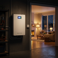 Batería LiFePO4 CKMINE de 5.12kWh, 51.2V, 100Ah, con Pantalla LCD, Celdas de Grado A, BMS con MSDS UN38.3 para Sistema de Almacenamiento de Energía Solar Doméstico