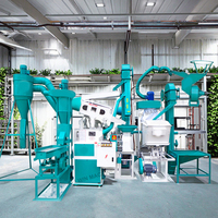 ALLWIN Machine à polir les grains à rouleaux haute efficacité 800 kg/heure, Ligne de production de décorticage et de mouture du riz pour usine de riz agricole