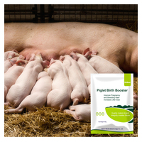 Concentré d'aliments pour porcs de haute qualité pour l'alimentation porcine, prémélange pour l'alimentation des porcs, destiné au marché africain de Tanzanie