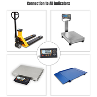 Indicador de Peso Portátil con Pantalla LCD, Sensor de Peso de Plataforma, Instrumentos de Pesaje de Productos de Acero Inoxidable, Microimpresora, OEM