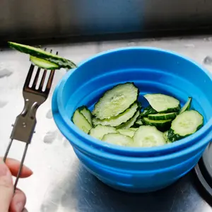 실리콘 접을 수있는 식품 저장 마이크로파 용기-뚜껑 실리콘 점심 용기와 준비/저장 그릇
