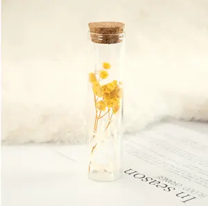 Hot Selling Birthday Gift Extremely High Practicality Concise Dried Preserved Rose In Glass Wishing Battle