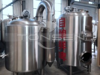Ensemble de plateaux de bière artisanaux, 300l, 500l, équipement pour bière, pub, club
