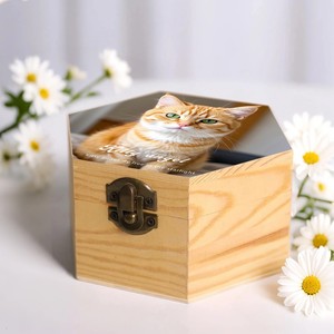 Premium Wooden Pet Casket for Small Medium Large Pets - Product Image 3