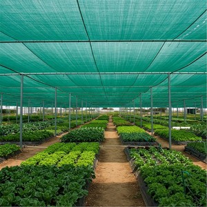 <span class=keywords><strong>Malla</strong></span> Agrícola de Protección UV 30% <span class=keywords><strong>40</strong></span>% 50% 70% 80% 90% de HDPE para Sombreado de Plantas y Invernaderos - Product Image 5