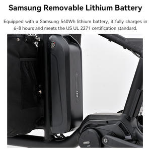 Vélo <span class=keywords><strong>cargo</strong></span> électrique avec panier avant pliable, vélo <span class=keywords><strong>cargo</strong></span> électrique pour transport normal, vélo <span class=keywords><strong>cargo</strong></span> électrique pour bébé - Product Image 3