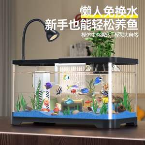 Mini acuario rectangular de 10L con filtro y generador de oxígeno para peces dorados, tanque ecológico de escritorio, fácil de limpiar, diseño de plástico. - Product Image 2