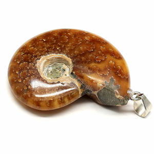 Collar de Fósiles de Caracol de Piedra Natural, Colgante de Concha, Piedra Semipreciosa, Regalo de Boda, Nuevo Cuidado DE LA <span class=keywords><strong>Piel</strong></span> - Product Image 5