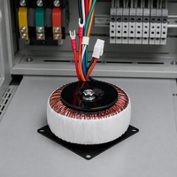 Transformateur toroïdal 220V certifié CE IEC, faible bruit, haute efficacité, enroulement en cuivre pour alimentation d'amplificateur audio