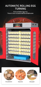 Vente d'usine WONEGG Incubateurs à œufs <span class=keywords><strong>de</strong></span> poulet entièrement automatiques 728 œufs Grande capacité Armoire Solaire Incubateur à œufs <span class=keywords><strong>de</strong></span> caille 1000 œufs - Product Image 4