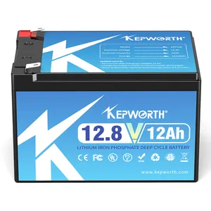 공장 가격 12v 6Ah 10Ah 12Ah 20Ah 25Ah 30Ah lifepo4 에너지 저장 배터리 (BMS 무료 OEM 12.8v 25Ah LFP 배터리)