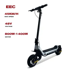 Eec Hoge Kwaliteit Uitstekende Prestaties 48V 800W 45 Km/h Sterke Elektrische Mini Scooters Voor Volwassenen