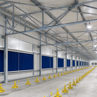 Bâtiment avicole en acier multi-niveaux ultra-efficace, poulailler préfabriqué moderne, bâtiment polyvalent pour élevage de poulets automatique