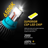   Ampoules LED T15 912 921 sans erreur, 2000 lumens, CSP 9-SMD, Plug and Play pour feux de recul, blanc 6500K