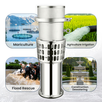 Pompe submersible électrique 220V en acier inoxydable 304, immergée dans l'huile, pour puits profond, haute pression, grand débit, pour l'irrigation agricole