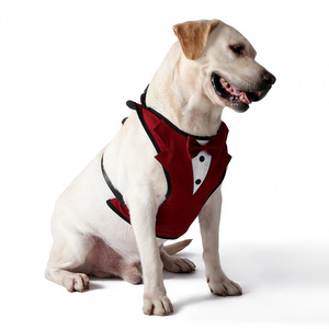 Tanpopo, venta al por mayor, traje de esmoquin, arnés para perro, conjunto de correa, chaleco de lujo duradero personalizado para mascotas, accesorios, azul, vino, rojo, diseño elegante - Product Image 3