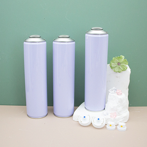 Lata de Hojalata Vacía Personalizada para Aerosol, Lata para Insecticida de 57 mm, Spray Mata Mosquitos, Tamaño Viaje - Product Image 1