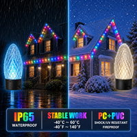 Guirlandes lumineuses de Noël personnalisées de 12 pouces et 15 pouces, C9 E17, 24V, IP65, commande Wifi, ampoules LED C9 pour jardin commercial