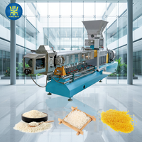 Machines de fabrication de riz instantané, extrudeuses automatiques de riz nutritionnel, ligne de production de riz fortifié
