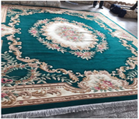 Tapis en laine fait main chinois Aubusson à poils longs, écologique et adapté aux animaux domestiques