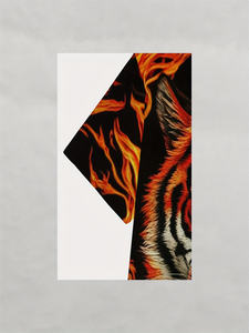 All'ingrosso 100% poliestere stampa digitale Jersey <span class=keywords><strong>tigre</strong></span> t-shirt Casual Streetwear Design personalizzato stampa modello uomo 180g - Product Image 3